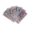 Billete didáctico sin monedas