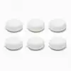 Pintucarita blanca 6 und