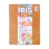 Papel iris impresionarte carta avellana x 20