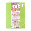 Papel iris impresionarte carta hierba x 20