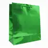 Bolsa de regalo holográfica primavera jumbo verde