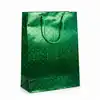 Bolsa de regalo holográfica primavera l verde