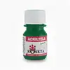 Pintura acrílica acriltela roseta verde navidad