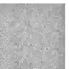 Fomi top line escarchado 4 cartas plata