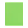 Fomi top line liso carta verde pistache