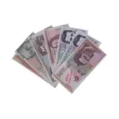 Billete didáctico sin monedas