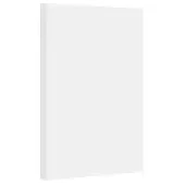 Cartulina bristol 1/8 blanca x 100