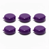 Imagen de Pintucarita morada x 6