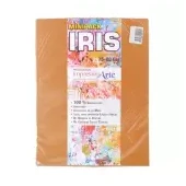 Imagen de Papel iris impresionarte carta avellana x 20