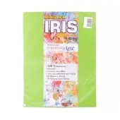 Imagen de Papel iris impresionarte carta hierba x 20