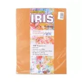 Imagen de Papel iris impresionarte carta nectarine x 20