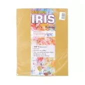 Imagen de Papel iris impresionarte carta oro x 20