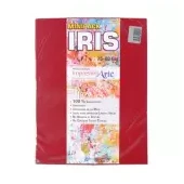 Imagen de Papel iris impresionarte carta rojo navidad x 20