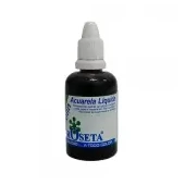 Acuarela líquida ecolin roseta 30cc burgansy