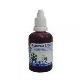 Acuarela líquida ecolin roseta 30cc rosa