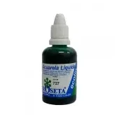 Acuarela líquida ecolin roseta 30cc verde hierva