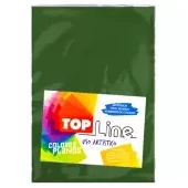 Imagen de Fomi top line liso 1/8 verde x 10