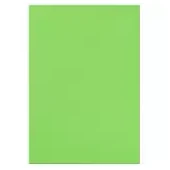 Imagen de Fomi top line liso 1/8 verde pistache