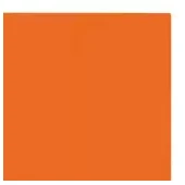 Imagen de Fomi top line liso 4 cartas naranja