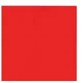 Imagen de Fomi top line liso 4 cartas rojo