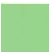 Imagen de Fomi top line liso 4 cartas verde pistacho