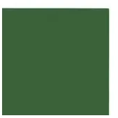 Imagen de Fomi top line liso 4 cartas verde