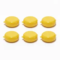 Pintucarita amarilla 6 und