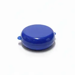 Pintucarita azul
