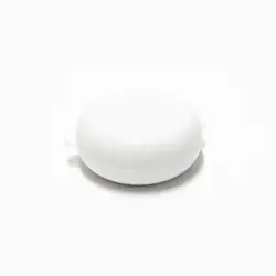 Pintucarita blanca