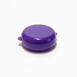 Pintucarita morada