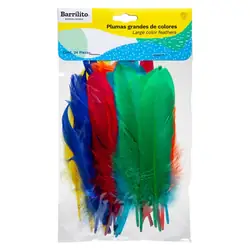 Plumas de colores x 24