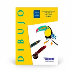 Cartulina durex icopel 1/4 x 20