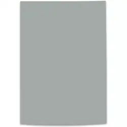 Cartulina iris 1/8 gris