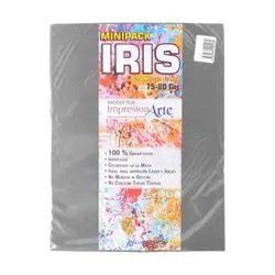 Papel iris impresionarte carta gris x 20