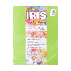 Papel iris impresionarte carta hierba x 20