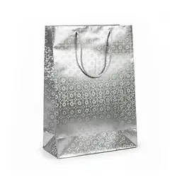 Bolsa de regalo holográfica primavera l plateada