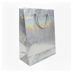 Bolsa de regalo holográfica primavera m plateada