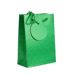Bolsa de regalo holográfica primavera s verde
