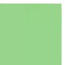Fomi top line liso 4 cartas verde pistacho