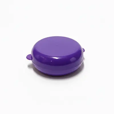 Pintucarita morada