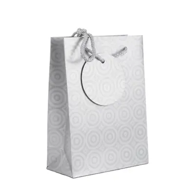 Bolsa de regalo holográfica primavera s plateada