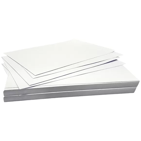 Ficha Bibliográfica Blanca X 100
