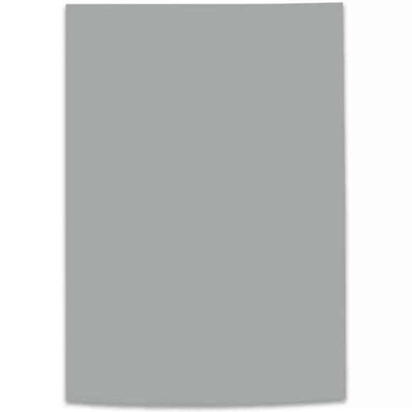 Cartulina Iris 1/8 Gris