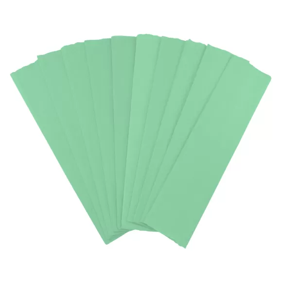 Papel Crepe Pliego Verde Menta X 10