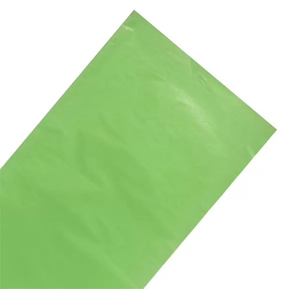 Papel Seda Pliego Verde Menta