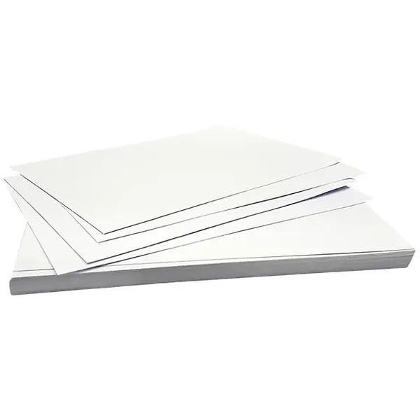 Ficha Bibliográfica Blanca 50 Und