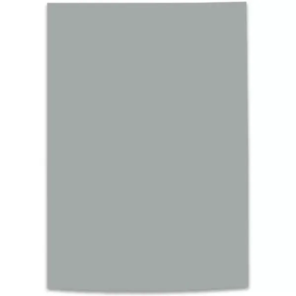 Cartulina Iris 1/8 Gris
