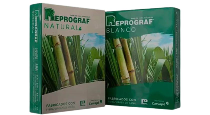 Banner Reprograf