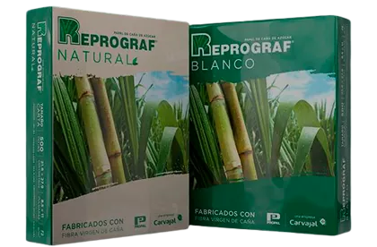 Banner Reprograf